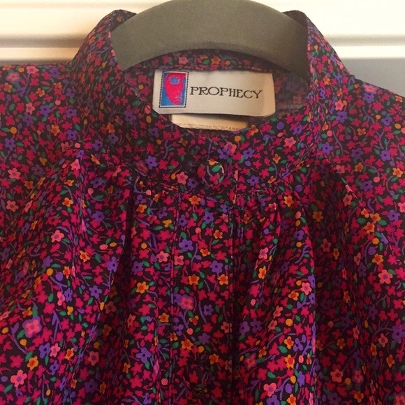 Prophecy Vintage Sheer Floral Blouse, Ruffle - Picture 6 of 11